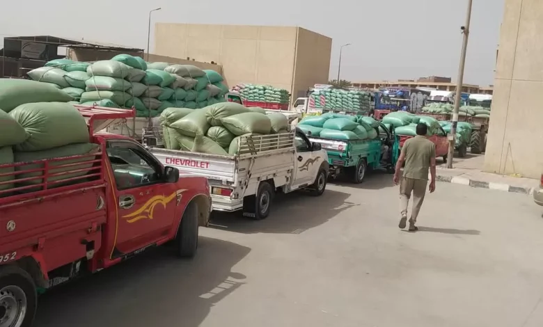 محافظ-المنيا:-توريد-أكثر-من-442-ألف-طن-قمح-حتى-الآن