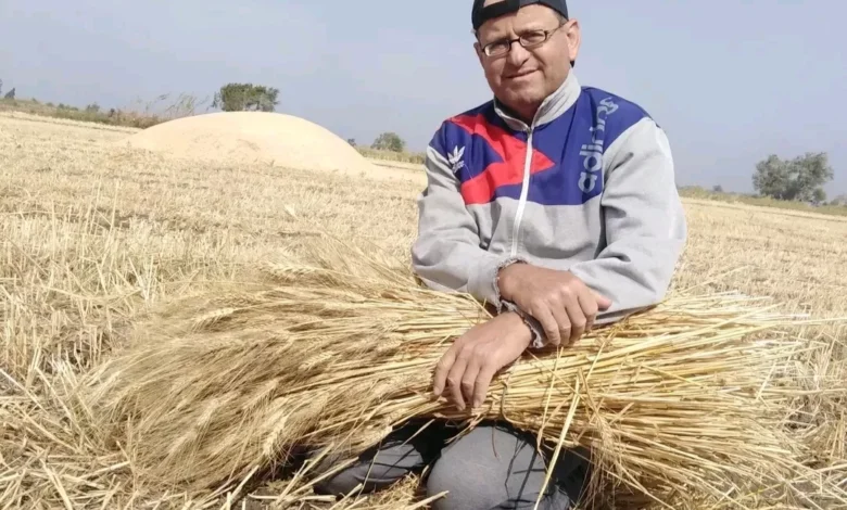 فاس-وطين.إطلالة-مبدعة-للشاعر-معوض-حلمي