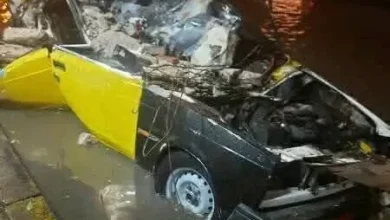 75-بلاغًا-في-الإسكندرية-بسبب-العاصفة