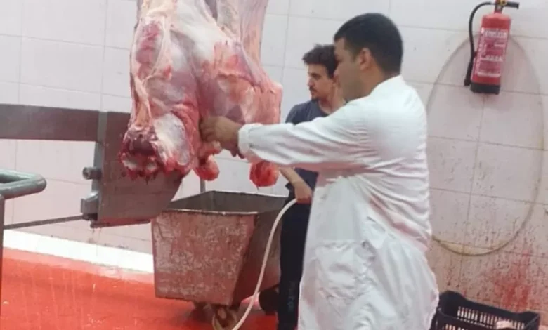 محافظ-الجيزة-يقرر-وقف-إجازات-الأطباء-البيطريين-بالمجازر-خلال-عيد-الأضحى