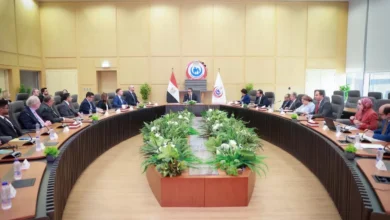 نائب-رئيس-الوزراء-وزير-الصحة.بحث-مع-التحالف-الصحي-الألماني-تعزيز-الشراكة-والاستثمار-في-القطاع-الطبي