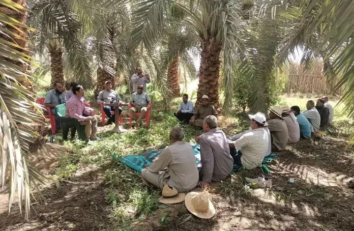 حصاد-أنشطة-مبادرة-مركز-البحوث-الزراعية-لتفعيل-دور-المراكز-الإرشادية-الزراعية