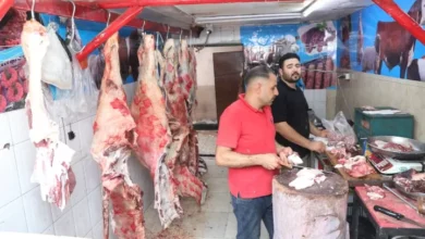 اقبال-كبير-من-المواطنين-على-منافذ-وزارة-الزراعة-لشراء-لحوم-عيد-الأضحى