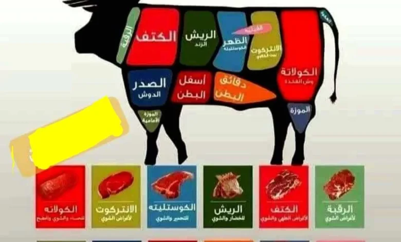 دليلك-السريع-لاختيار-القطعة-المناسبة-فى-الأضحية-واستخداماتها