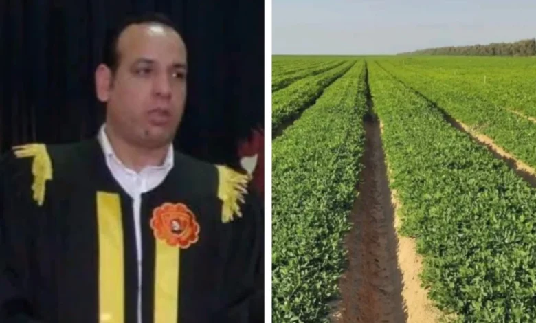 باحث-زراعي-:-زراعة-الفول-السوداني-بالتكنولوجيا-الحديثة-“فرس-رهان”-الأراضي-الجديدة