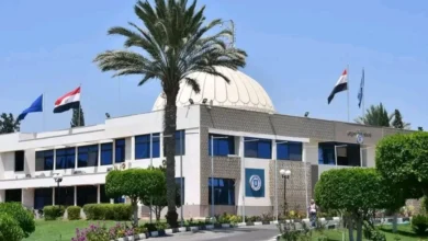 جامعة-القناة-تنظم-ورشة-تدريبية-متخصصة-حول-الإسعافات-الأولية