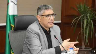 محافظة-الجيزة-تطلق-حملة-توعية-بترشيد-استهلاك-الكهرباء