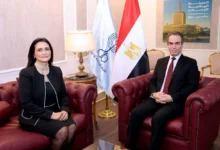 دينا-نبيل-عثمان-رئيساً-لقناة-النيل-الدولية-(nile-tv)