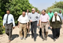 رئيس-جامعة-القناة-يتفقد-مزرعة-كلية-الزراعة-ويطلع-على-أنشطة-الإنتاج-النباتي-والحيواني 