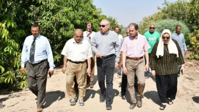 رئيس-جامعة-القناة-يتفقد-مزرعة-كلية-الزراعة-ويطلع-على-أنشطة-الإنتاج-النباتي-والحيواني 