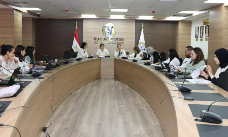 المجلس-القومي-ينظم-الاجتماع-السادس-للجنة-التيسيرية-لمشروع-التمكين-الاقتصادي-للمرأة-(رابحة)