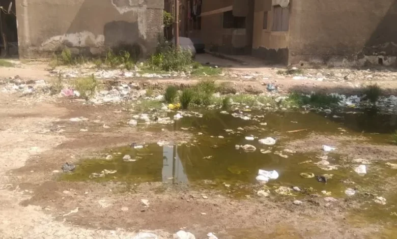 شوارع-مدينة-طابا-بنها-تغرق-بمياه-الصرف-الصحى