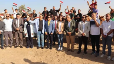 بحضور-نائب-محافظ-الجيزة.-وزير-الشباب-والرياضة-يشهد-انطلاق-مهرجان-الألعاب-الشعبية-والتراثية-بنادي-أبو-الهول