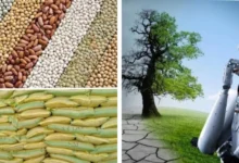 المؤتمر-الرابع-لمستقبل-صناعة-التقاوى-في-الوطن-العربي-ينطلق 17-يوليو