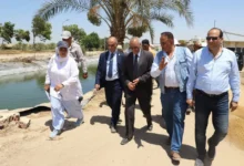 جولة-تفقدية-لرئيس-قومي-البحوث-لمزرعة-المركز-بالنوبارية