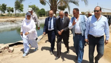 جولة-تفقدية-لرئيس-قومي-البحوث-لمزرعة-المركز-بالنوبارية