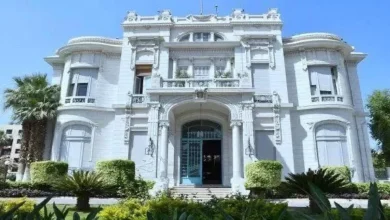 جامعة-عين-شمس-تحصل-على-الإعتماد-المؤسسي-من-الهيئة-القومية-لضمان-جودة-التعليم