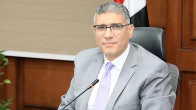 الجيزة-تُنهي-استعداداتها-لانتخابات-مجلس-الشيوخ